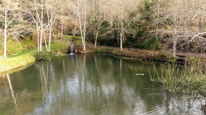 Photo non classée, 5 sur 28, bouton