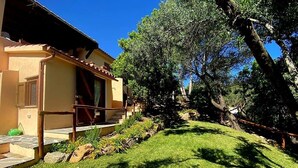 Une maison avec un patio, un jardin avec une pelouse et un grand arbre en arrière-plan.