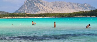 Sardinia, San Teodoro, luxury villa with garden and pool, oasis of quiet & relax