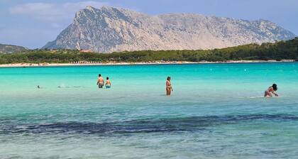 Sardinia, San Teodoro, luxury villa with garden and pool, oasis of quiet & relax