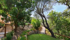 Un jardin bien entretenu, avec un chemin de pierre menant à une pelouse, le tout entouré d’arbres et d’arbustes.