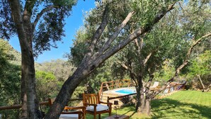 Un espace piscine agrémenté de chaises et d’une table en bois, le tout entouré d’arbres.