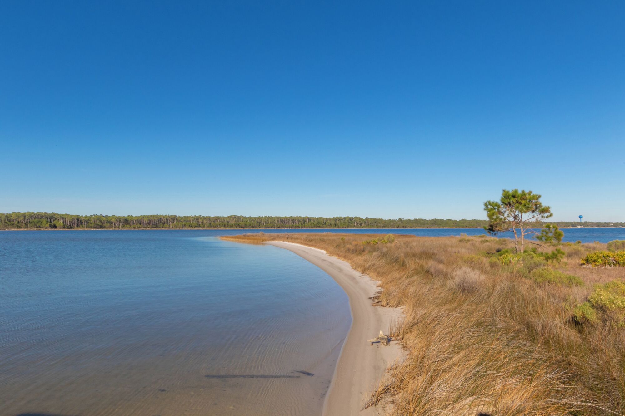 Une plage avec une eau d’un bleu limpide, un rivage sablonneux et un arbre sur la droite.