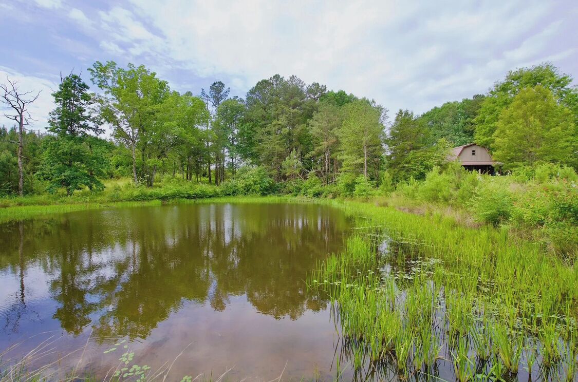 A serene pond surrounded by lush greenery and a small building.