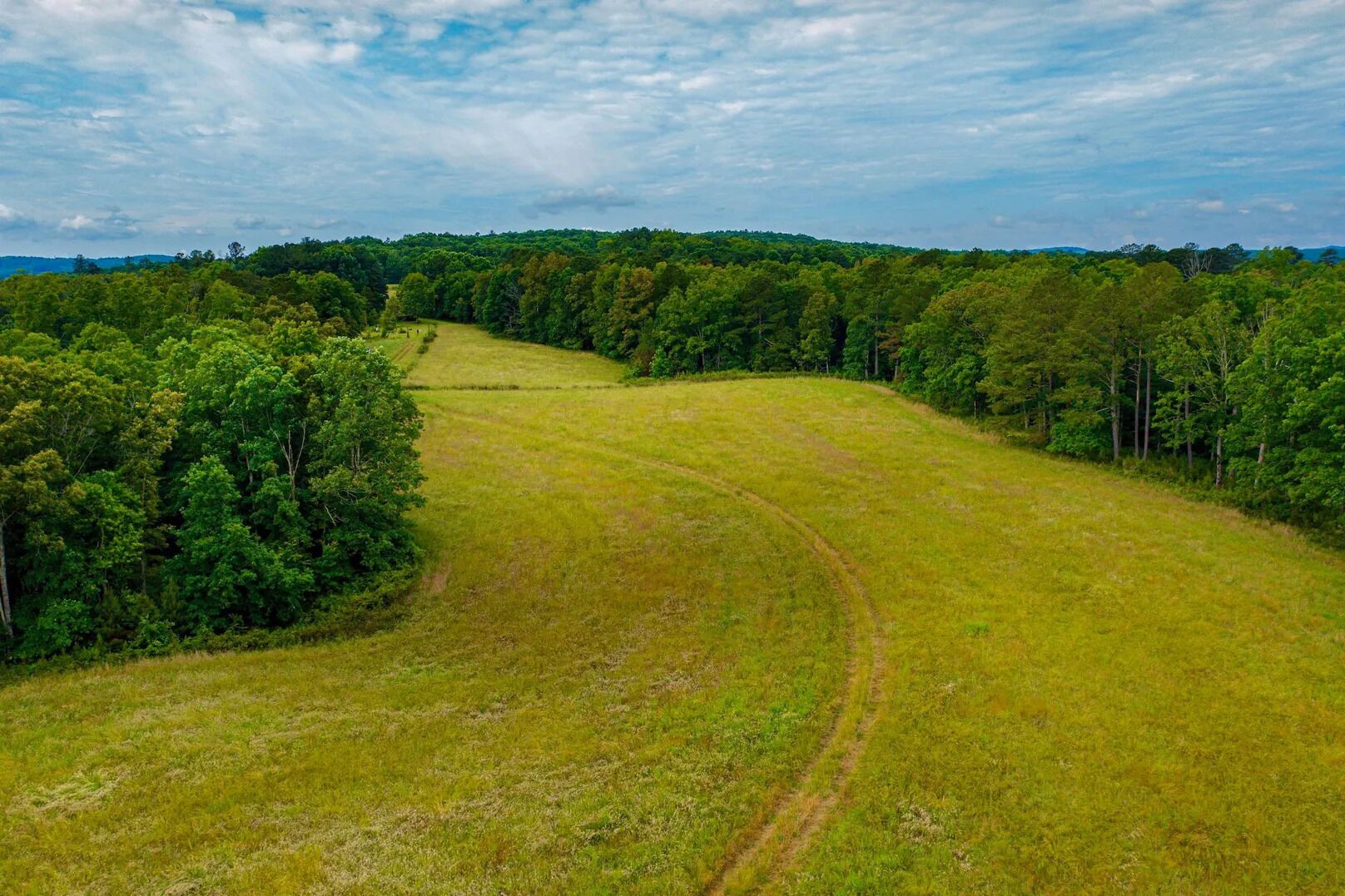 A grassy field with a winding path, surrounded by dense forest.