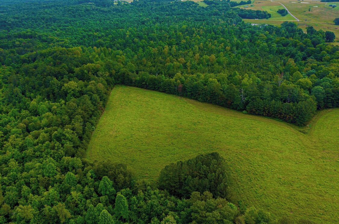 An aerial view of a forested area with a distinct clearing.