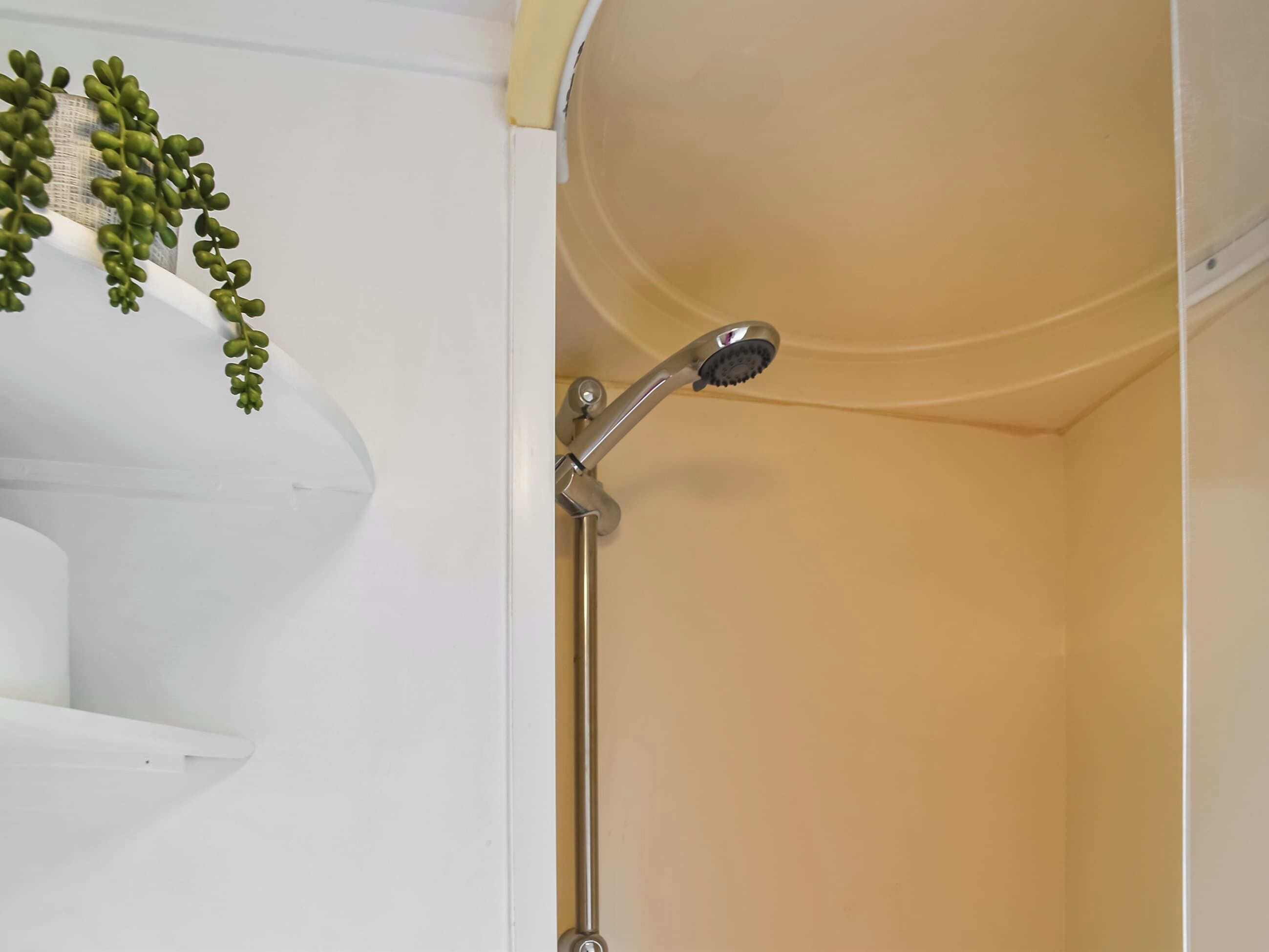 Une salle de bain avec une douche, un lavabo blanc et une plante verte.