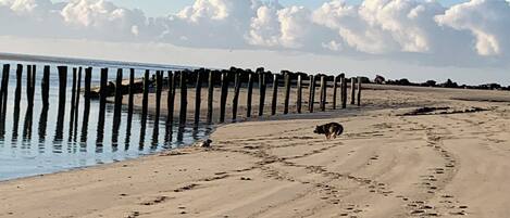 Plage