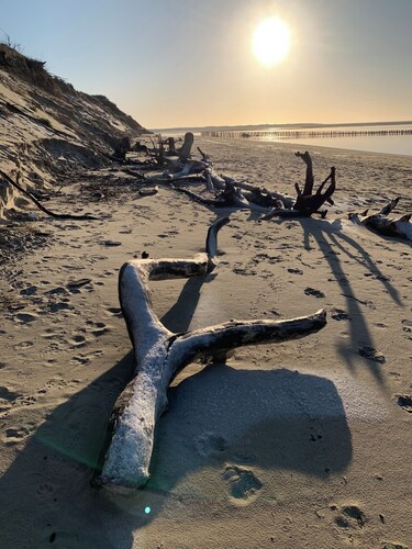 Plain pied jardin +parking proche plage et champs