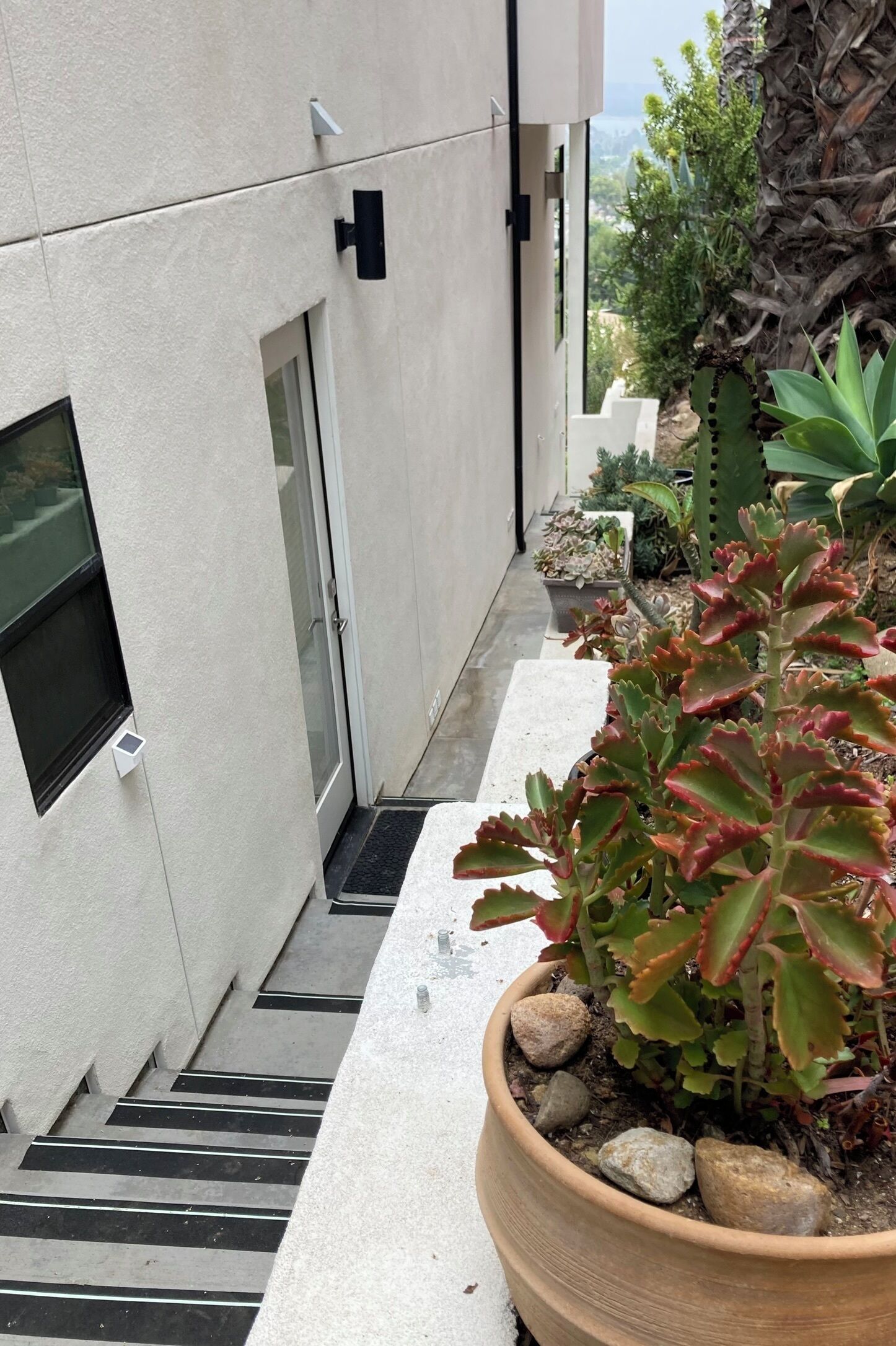 En moderne bygning med facade, glasdør, udendørs siddepladser og en potteplante med røde blade.