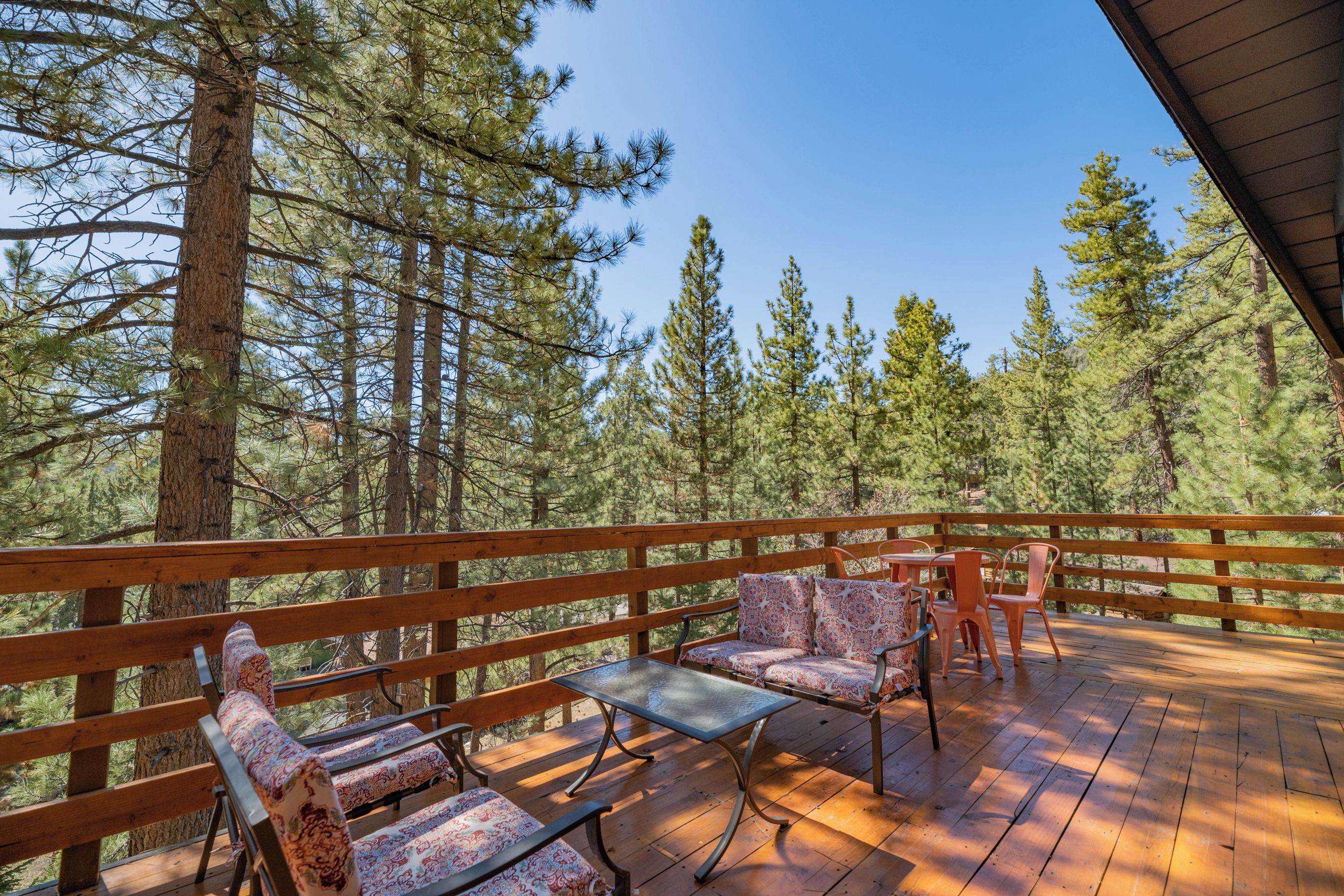 A wooden deck with a table and chairs, surrounded by tall pine trees.