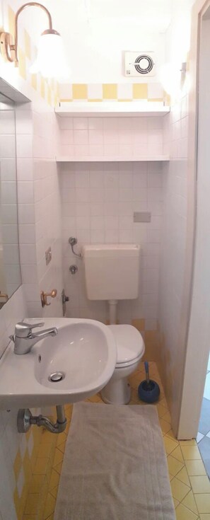 Shower, hair dryer, bidet, shampoo