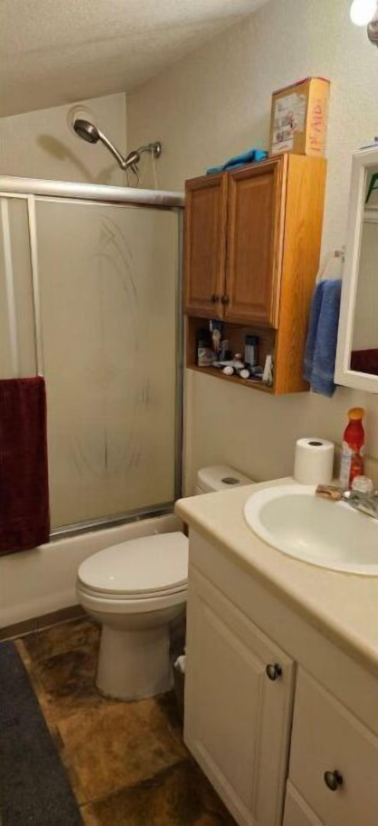 Secador de cabelo, toalhas de banho, sabonete, papel higiênico