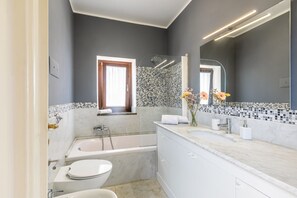 Combined shower/bathtub, hair dryer, bidet