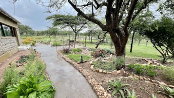 Parco della struttura