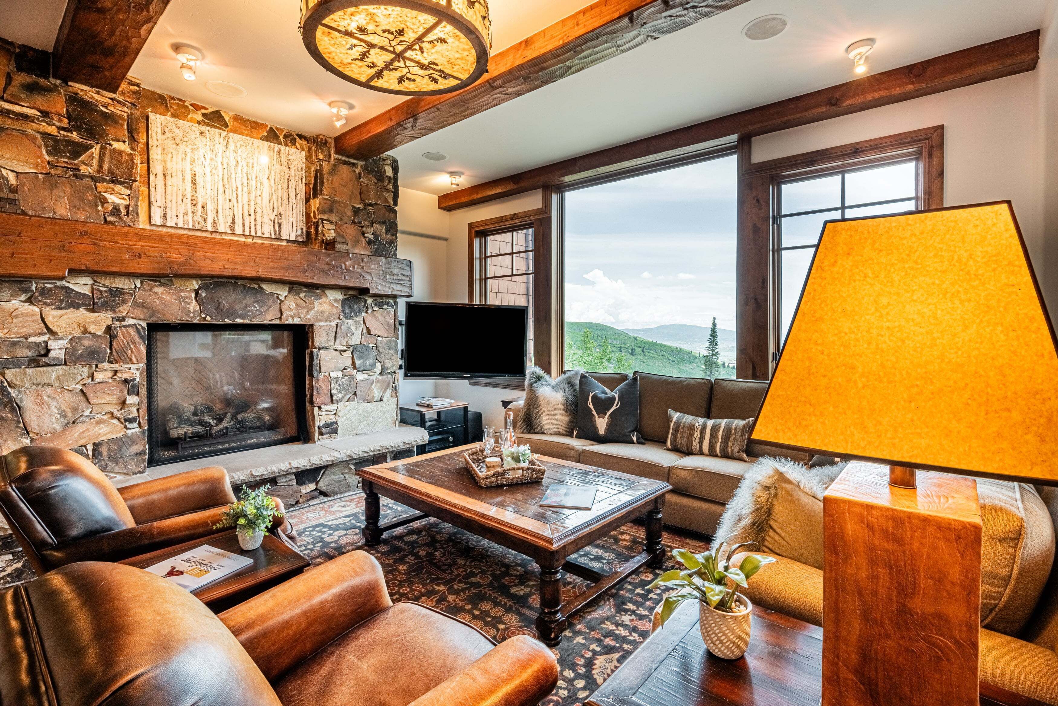 TV, fireplace