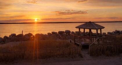 Oceanfront+Pool, Pet-friendly, 1st Floor, Next to Tiki Bar and restaurant.