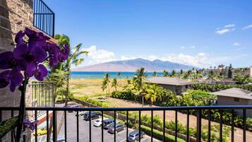 Luxury Condo | Exterior