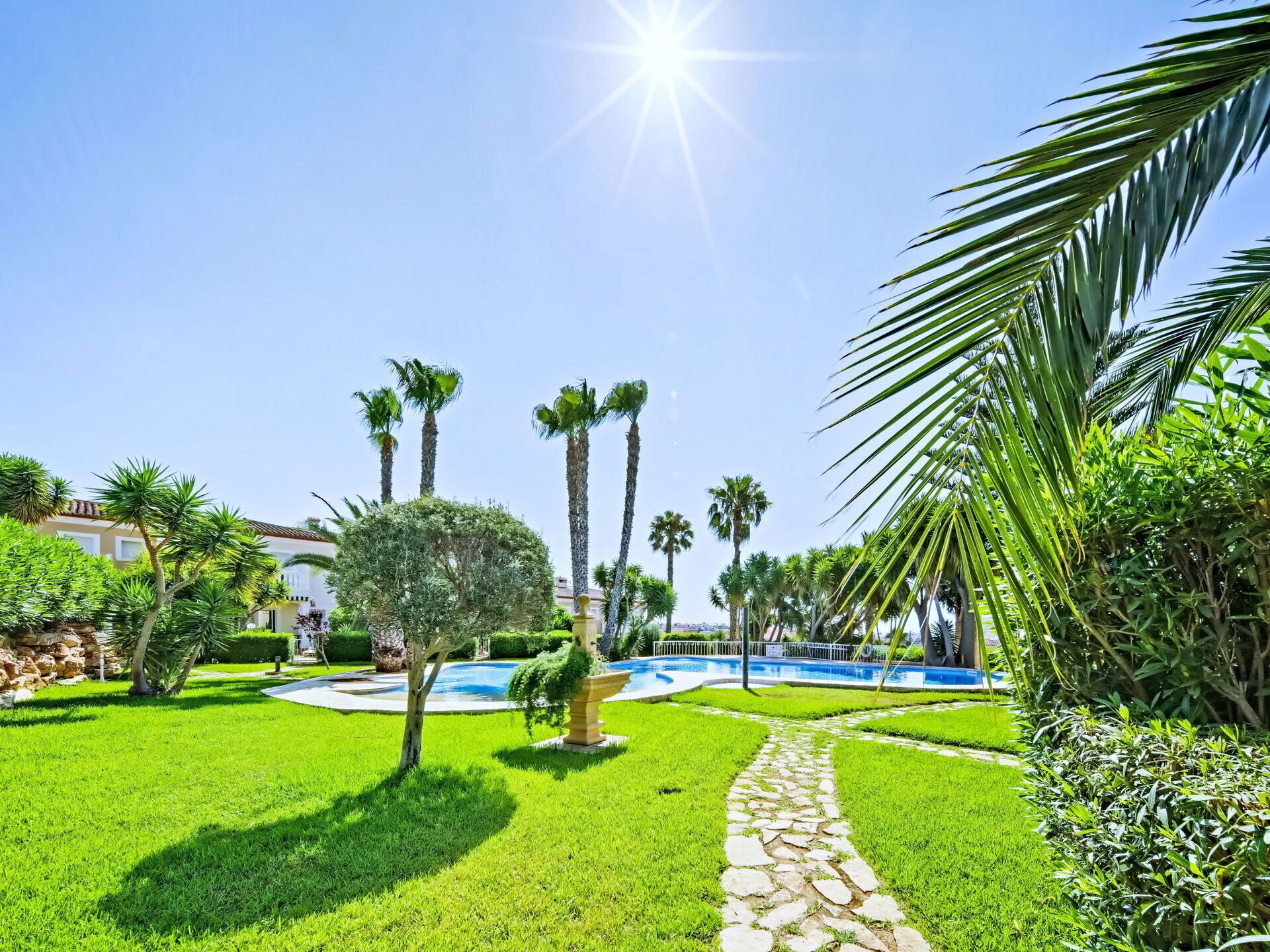 Un jardin bien entretenu, avec un chemin de pierres menant à une zone de piscine, entourée de palmiers et d’autres plantes vertes.