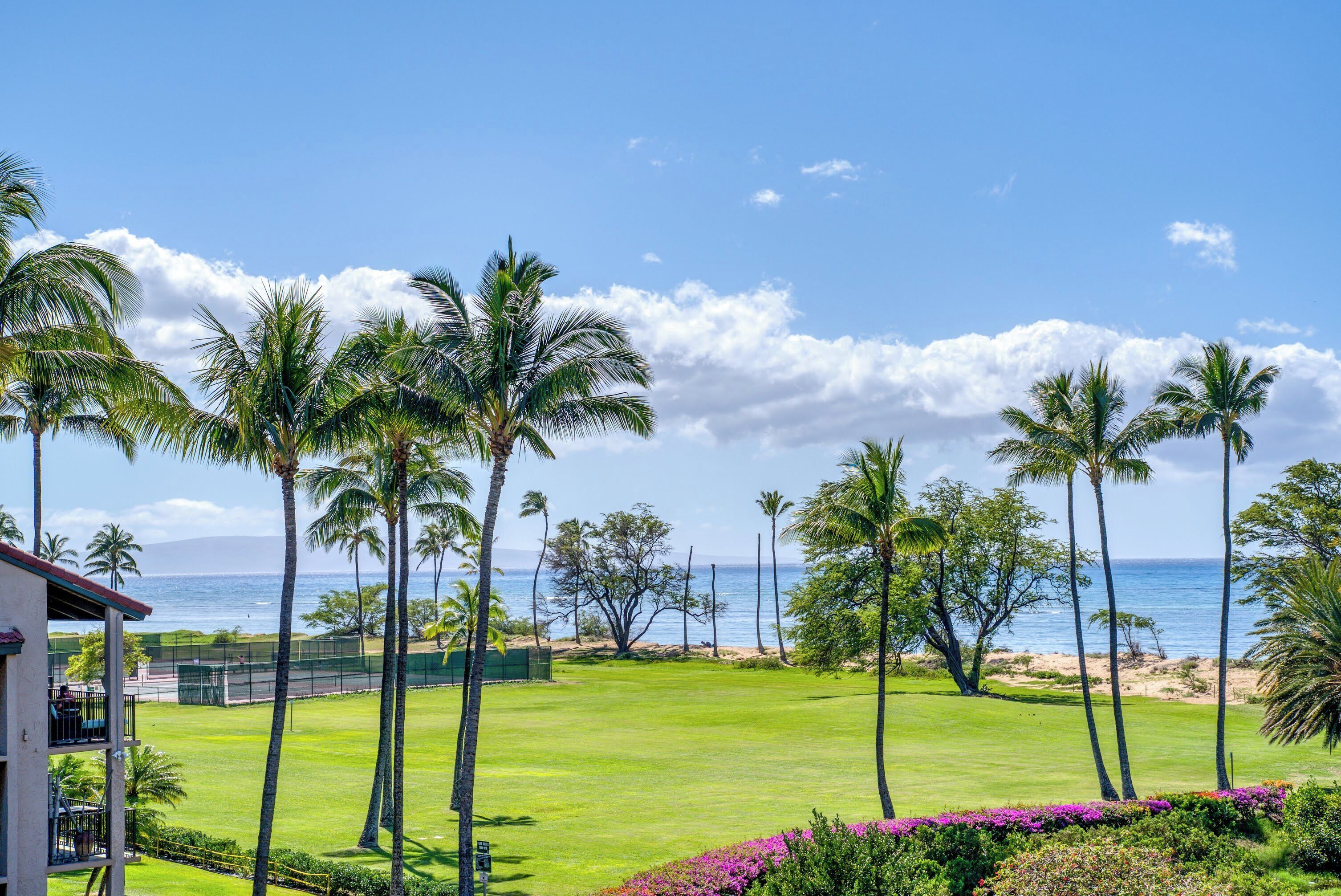 Un campo da golf con palme e vista sull'oceano.