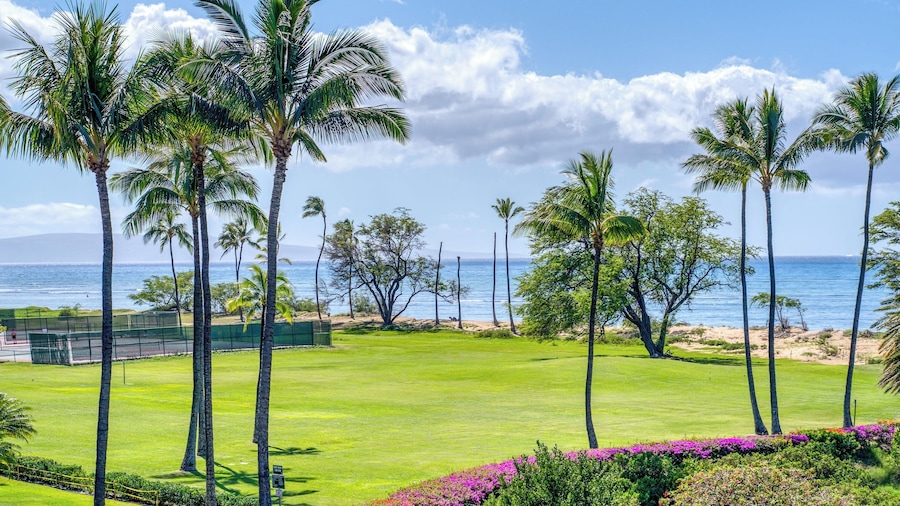 Elegant Oceanfront Vistas