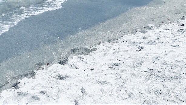 Une plage à l’eau turquoise et limpide, avec un rivage sablonneux et quelques personnes qui se baignent.