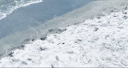 2bd-2ba-2ga, heated pool, golf-beach lovers, pet friendly sanctuary.