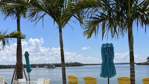Un espace aménagé près de la plage, avec des chaises et des parasols, un palmier et une vue sur l’eau.