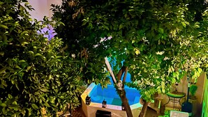 Un jardín interior acogedor con una pequeña piscina, rodeado de abundante vegetación y un suelo con diseño.