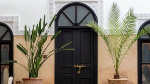 Una puerta negra con manija de latón, flanqueada por dos macetas grandes con plantas de hojas largas y delgadas.