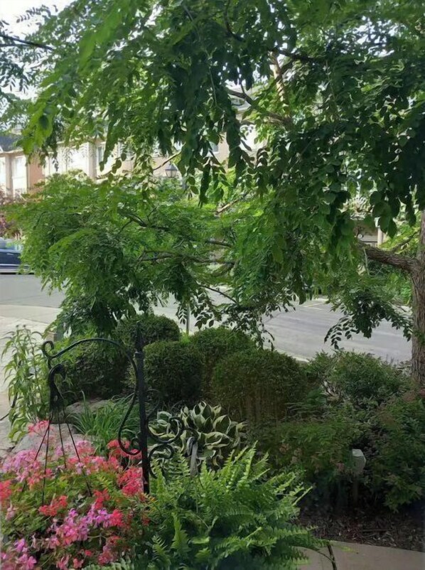 Stroll through this serene garden, surrounded by lush plants and shrubs, and take a seat on the bench for a moment of tranquility.