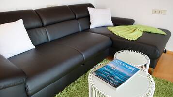 Fernseher