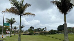 A road with palm trees and a grassy area.
