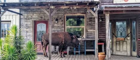 تفاصيل الفندق من الخارج