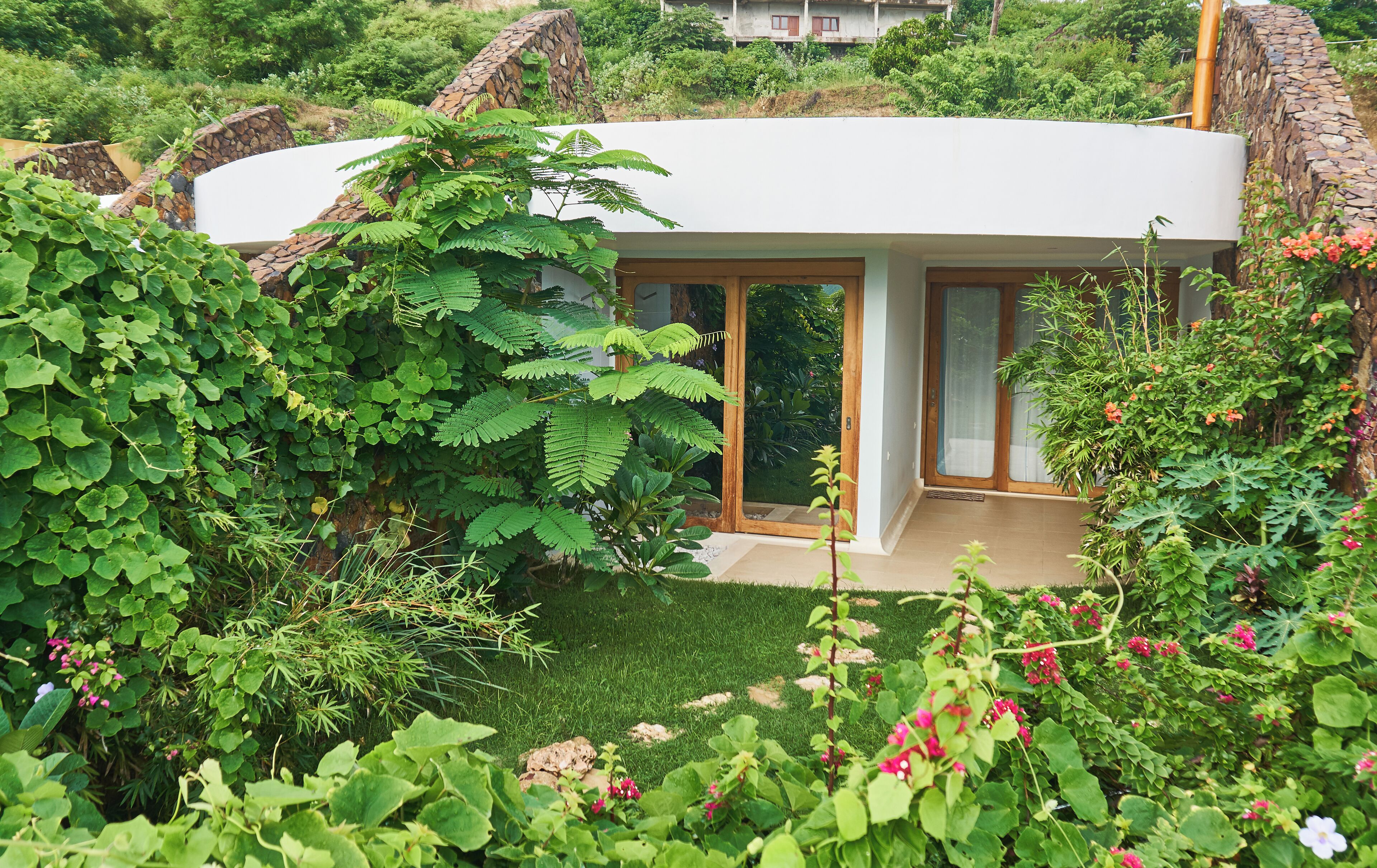 A modern house with a curved roof, surrounded by lush greenery and a small garden.