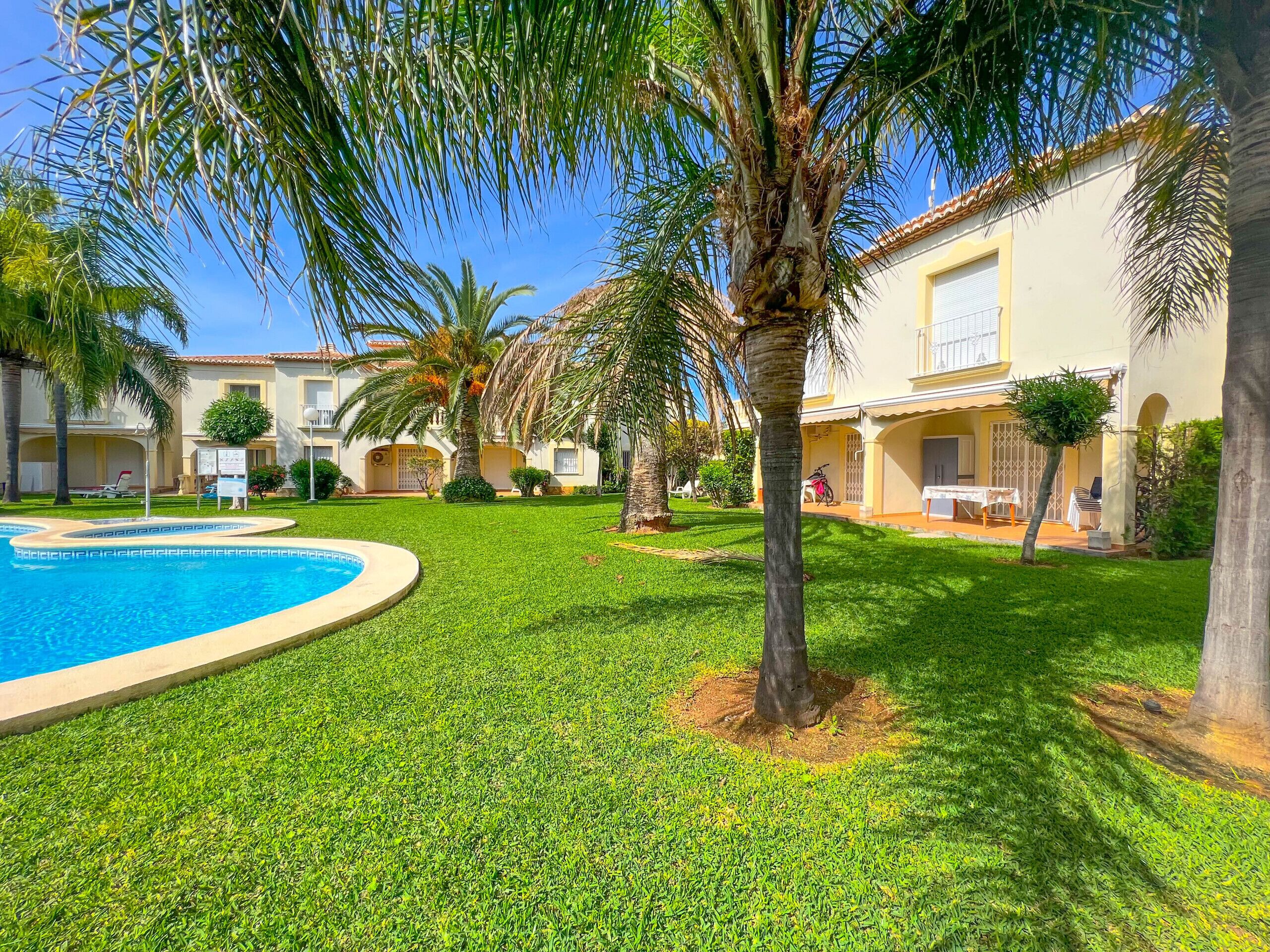 A well-maintained pool area with a clear blue pool, surrounded by lush green grass and palm trees.