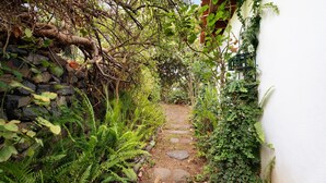 Ein schmaler Steinweg, gesäumt von üppiger Vegetation und einer weißen Mauer.