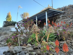 Un bâtiment doté d’un patio couvert, entouré de différentes plantes et de rochers.
