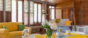 Villa 'The Situation House' with Terrace, Garden & Wi-Fi