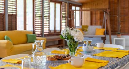 Villa 'The Situation House' with Terrace, Garden & Wi-Fi