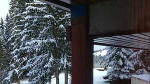 Un balcon en bois, doté d’une rambarde en métal, surplombe un paysage enneigé parsemé d’arbres.
