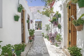 Une cour étroite aux murs blancs, agrémentée de plantes en pot et d’un chemin pavé.