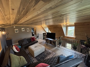 Televisor intel·ligent, llar de foc, llibres i oficines