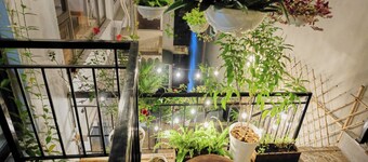 The Gallery Homestay - By Pegasy Group