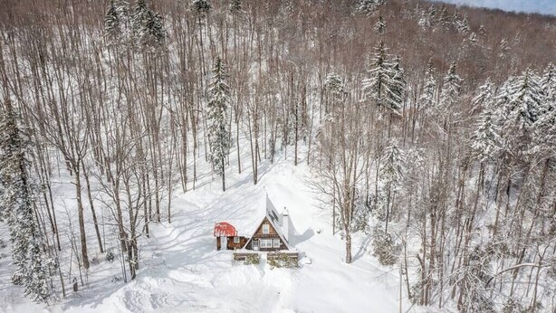 A cabin in a snowy forest with a clear path leading to it.