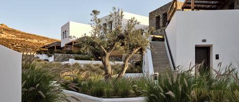 A modern building with a staircase leading to a door, surrounded by greenery and a clear sky.