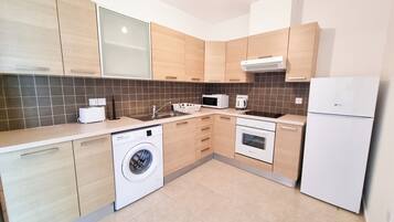 Basic Apartment | Private kitchen | Fridge, microwave, oven, stovetop