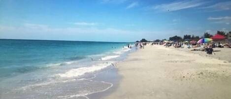 Camastros y toallas de playa