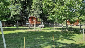 Un espacio al aire libre cercado con cabañas de madera y un árbol.