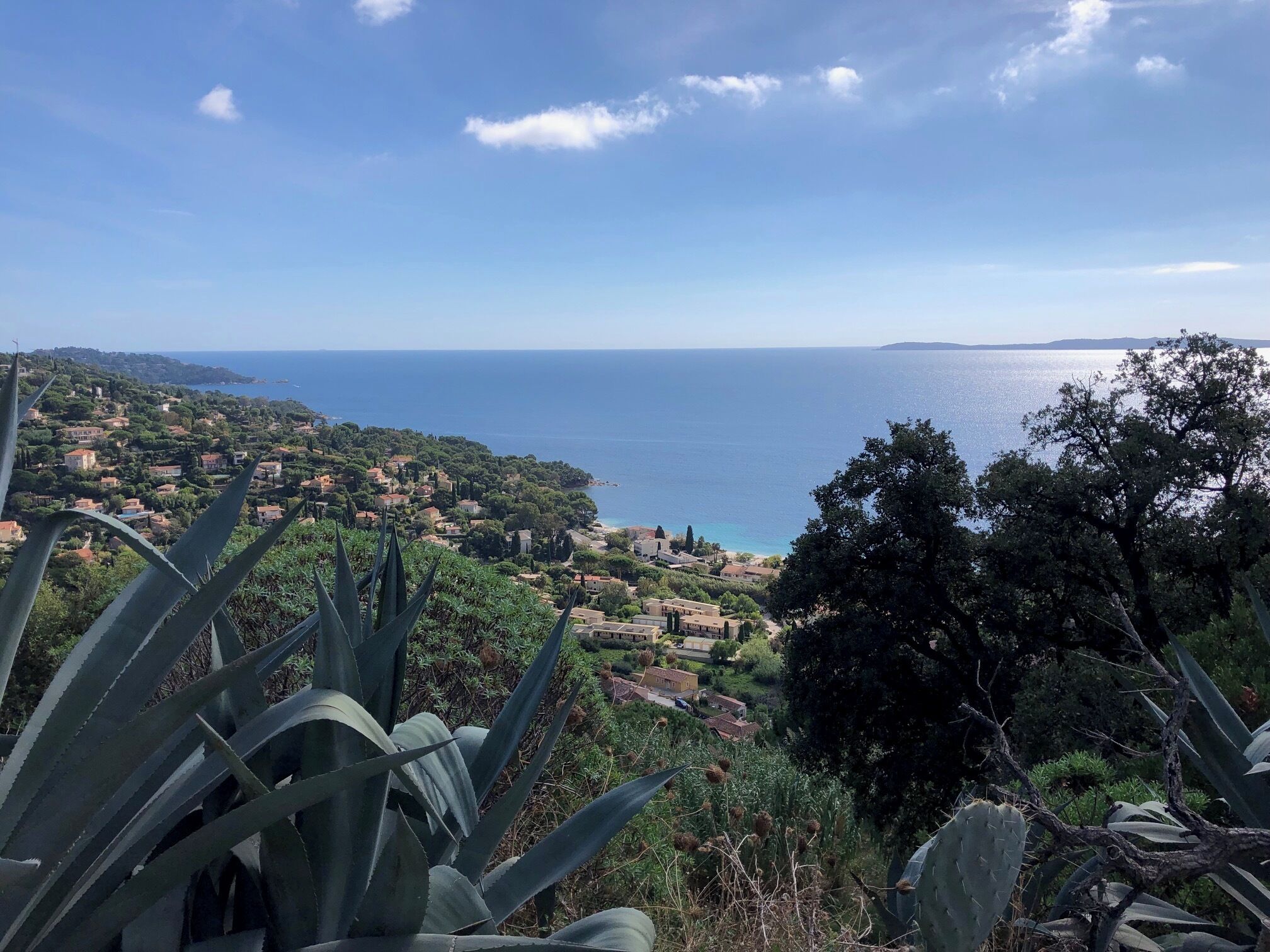 Une ville côtière avec des maisons et de la végétation, qui offre une vue sur la mer.